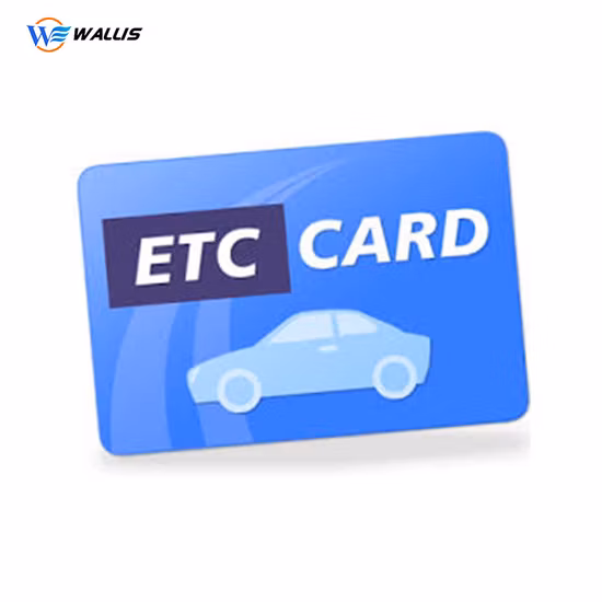 中国のカスタム印刷メーカーからの Lf 125kHz ホテル キー カード レーザー カット ホログラム VIP スマート RFID カード